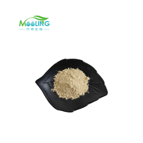 Loquat Leaf Extract Powder Manufacturer - Cosmetic Grade Ursolic Acid 20%-98%