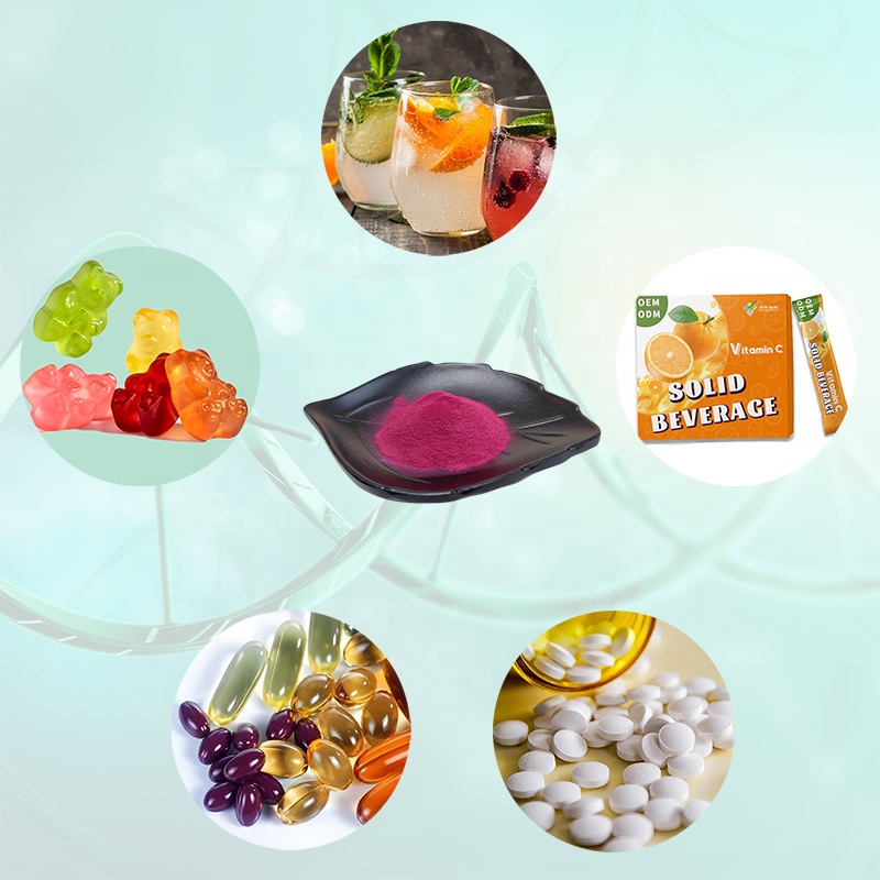 Rosehip Powder Factory - Natural Supply Wholesale Fruit Extract