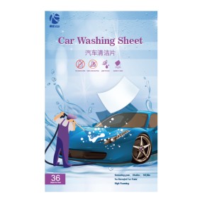 Car Wash Shampoo Supplier - OEM Car Care Cleaning Auto Detailing Liquids