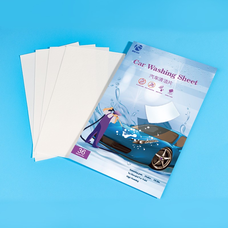 Car Wash Shampoo Supplier - OEM Car Care Cleaning Auto Detailing Liquids