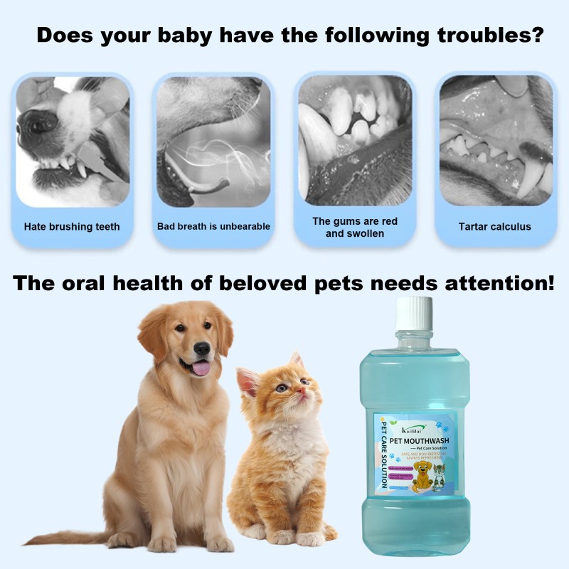 Dog Cat Mouthwash Supplier - Wholesale Oral Care Spray for Pets