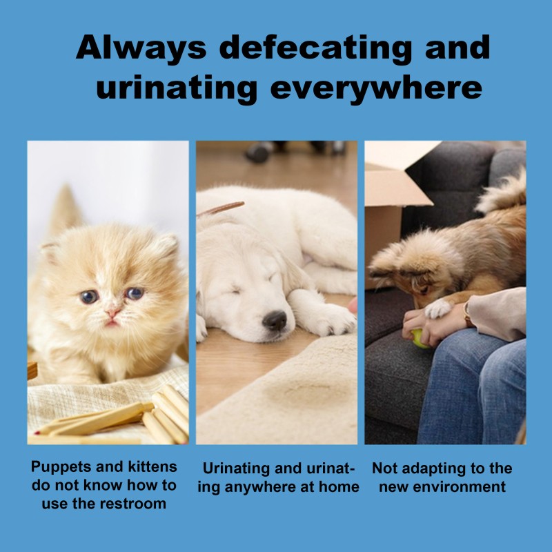 Pet Training Spray Factory - Indoor No Pee Formula for Kittens Puppies