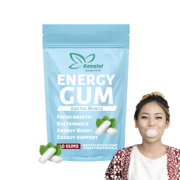 Energy Gum Supplier - Prival Label Mint Flavor Sugar Free Fresh Energy Daily