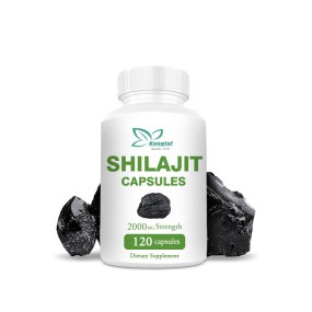 Shilajit Capsules Factory - Private Label Fulvic Acid Extract Male Strength