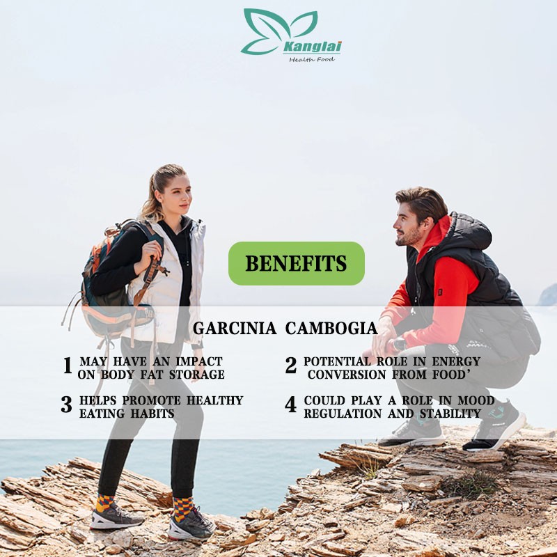 Garcinia Cambogia Capsules Factory - Private Label Herbal Weight Management Pills