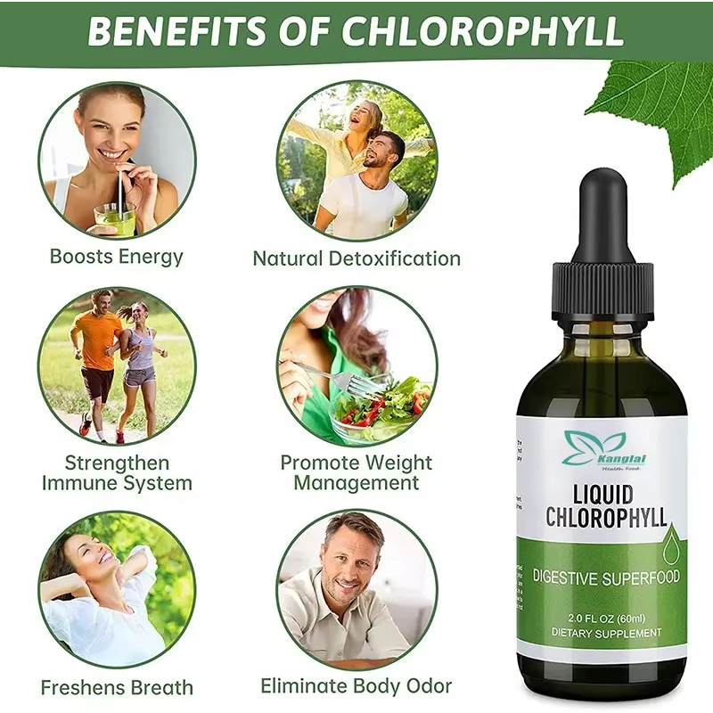 Liquid Chlorophyll Manufacturer - Hot Selling Wholesale Herbal Antioxidant Digestive