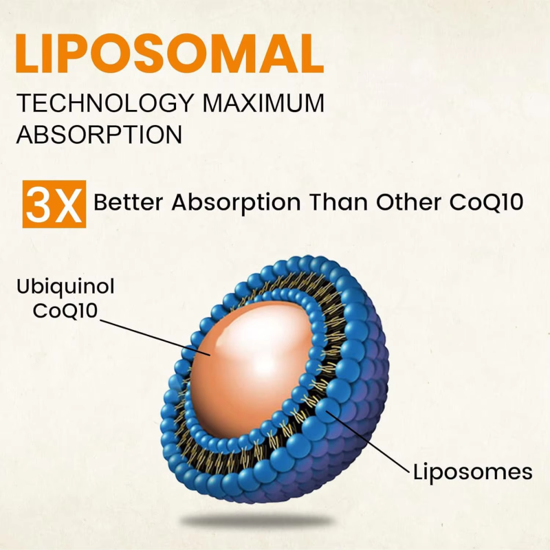 COQ10 Softgels Manufacturer - Hot Sale Liposomal Vegan Heart Energy Ubiquinol