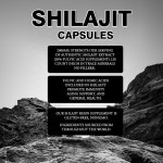 Himalayan Shilajit Resin Series