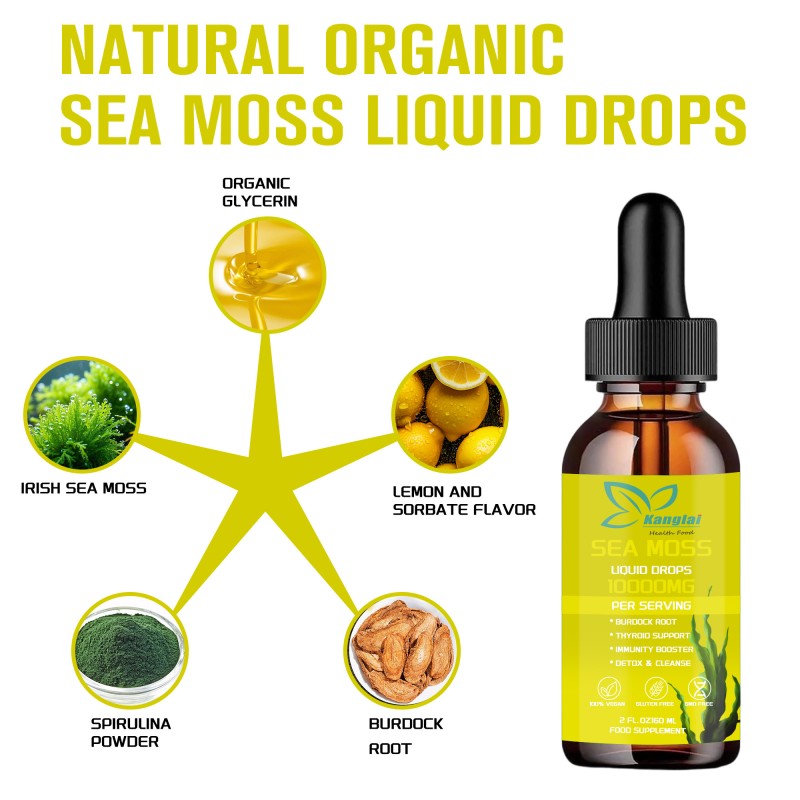 Sea Moss Liquid Drops Supplier - Premium Burdock Root Thyroid Immunity Detox Vegan