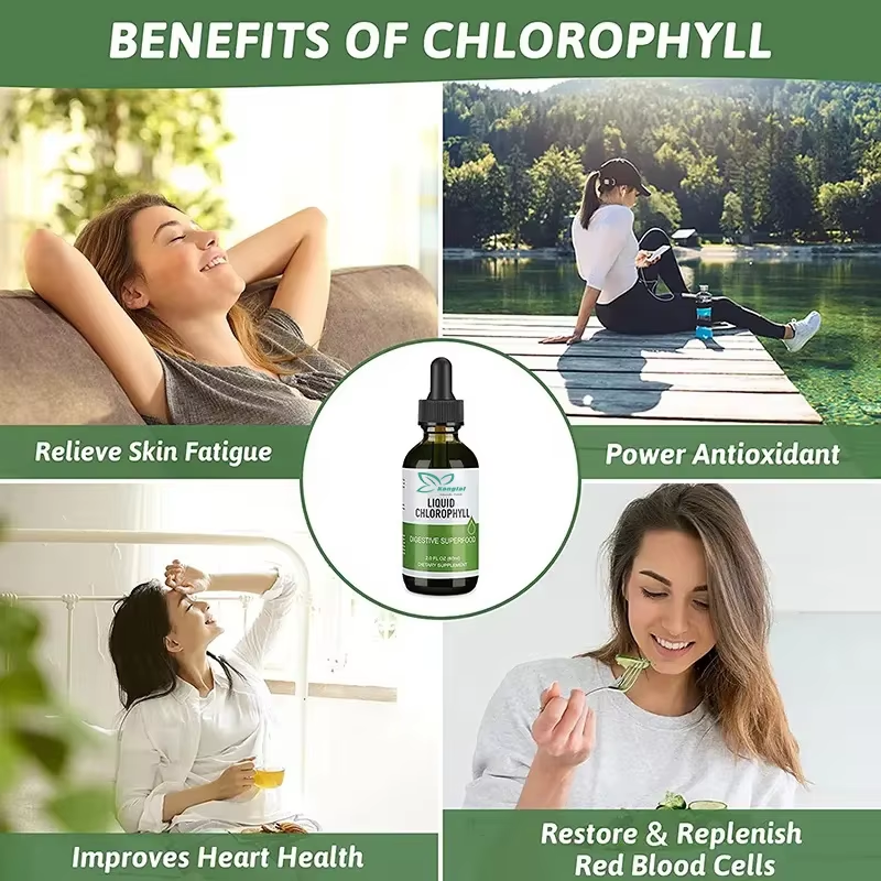 Liquid Chlorophyll Manufacturer - Hot Selling Wholesale Herbal Antioxidant Digestive