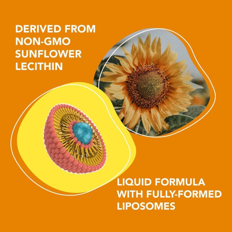 Liposomal Vitamin C Liquid Supplier - Factory Direct Vegan Immune Collagen Production