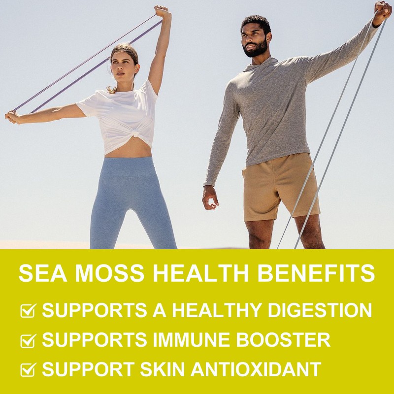 Sea Moss Liquid Drops Supplier - Premium Burdock Root Thyroid Immunity Detox Vegan