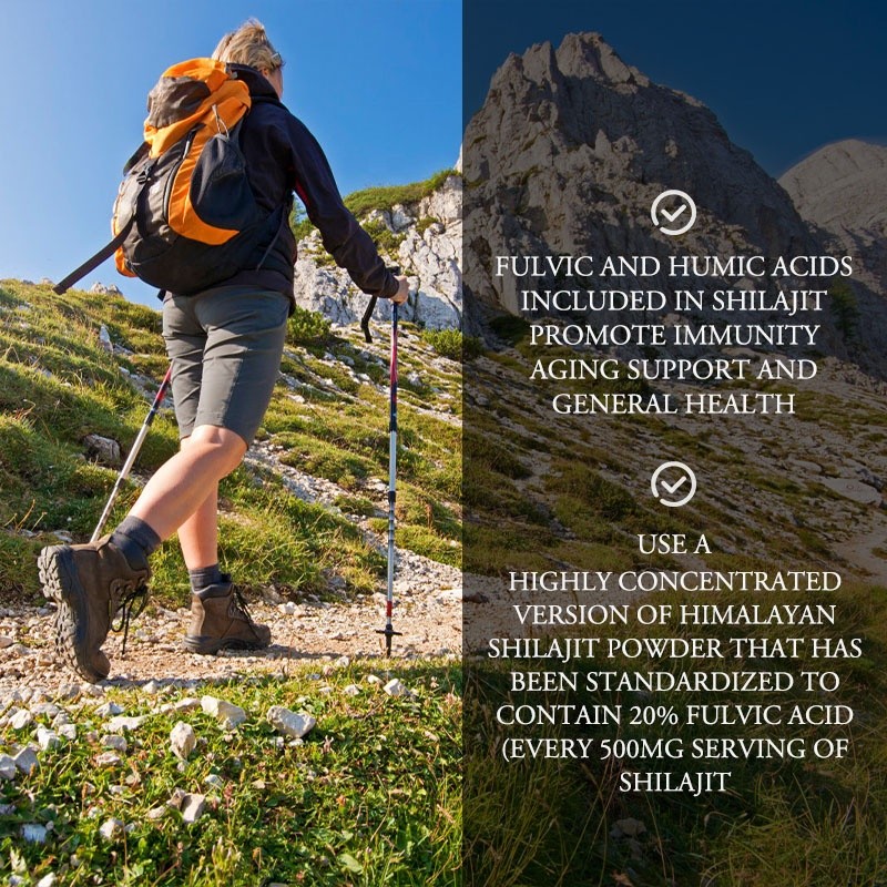 Shilajit Capsules Factory - Private Label Fulvic Acid Extract Male Strength