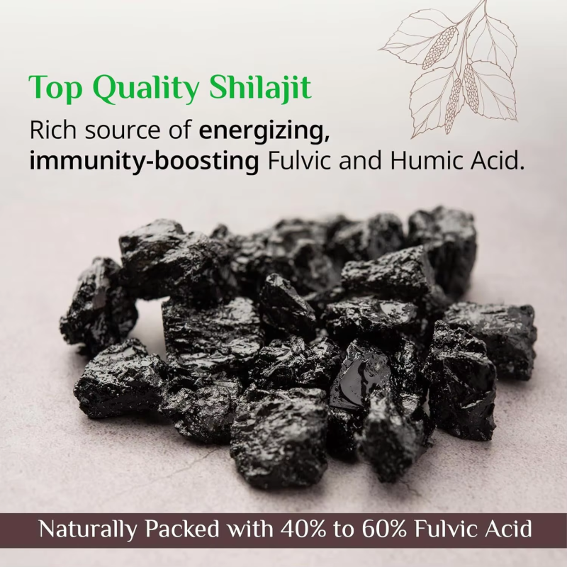 Shilajit Tablets Manufacturer - OEM Premium Quality Digestion Focus Support