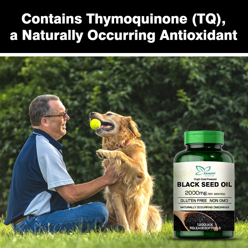 Black Seed Oil Softgels Factory - Cold Pressed Omega Antioxidant Metabolic Support