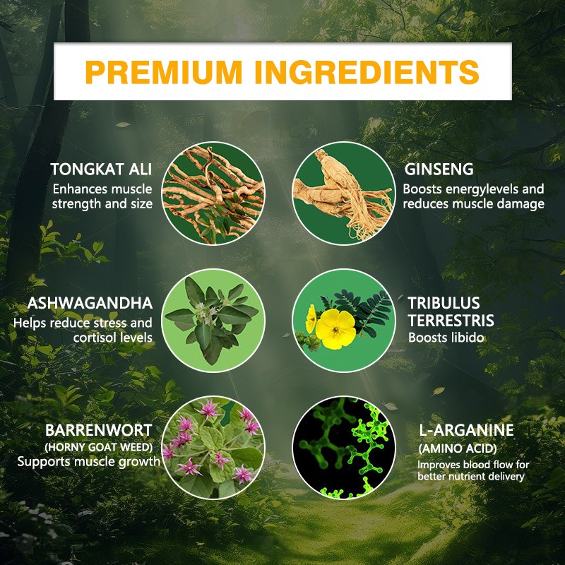 Ashwagandha Extract Capsules Factory - Supplier Factory Ginseng Man Power Energy