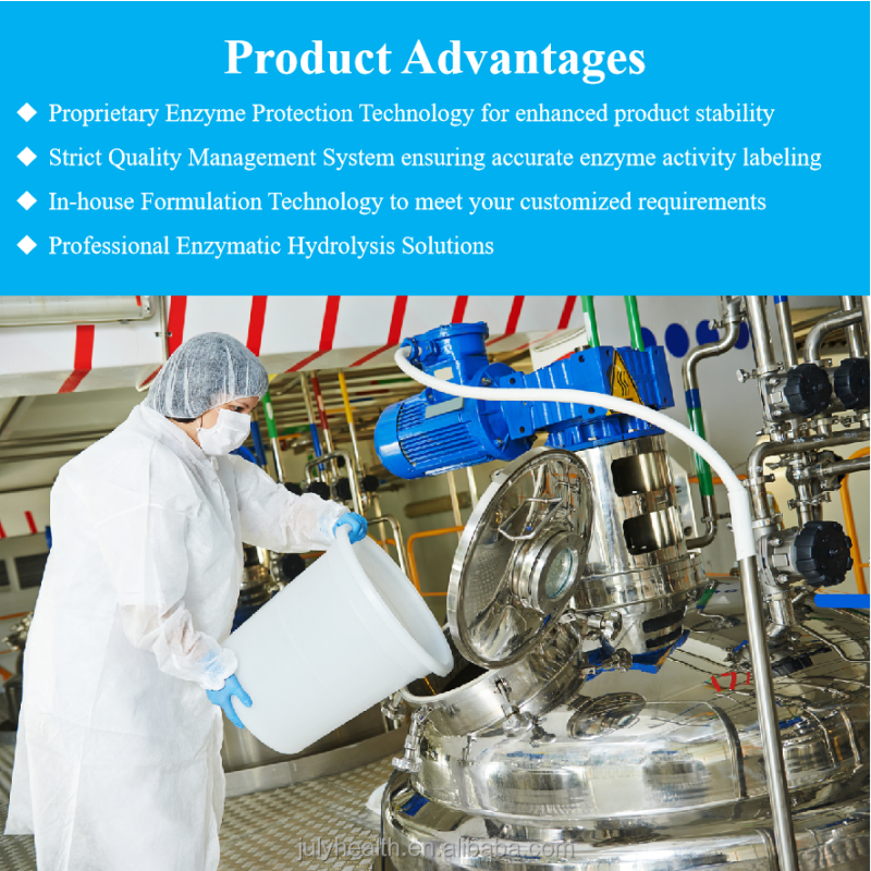 Micr obial Rennet Powder Supplier - Chymosin CAS 9001-98-3