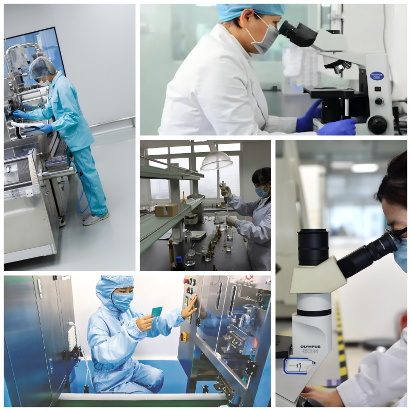 Cinnamon Extract Factory - 10:1-20:1 Ceylon Bark Powder