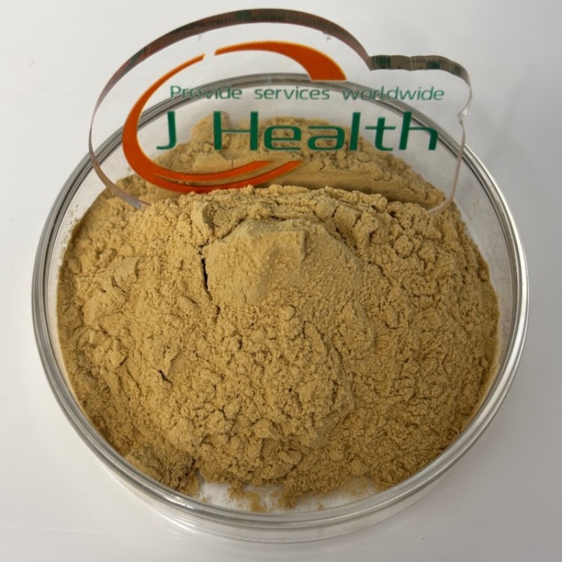 Alternanthera Extract Supplier - Pure Red Sessile Joyweed Powder