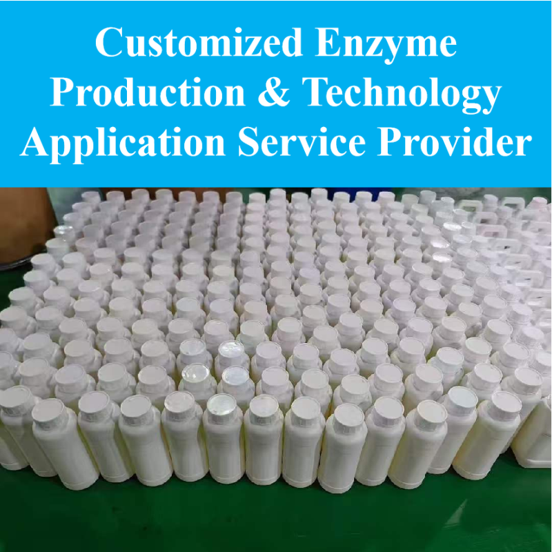 Serrapeptase Powder Manufacturer - Food Grade 200000-800000U/G Enzyme
