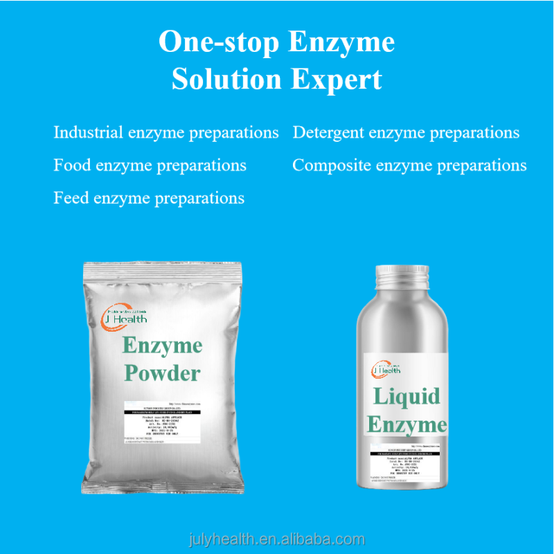 Amylase Xylanase Powder Factory - Dough Enhancer Bread Improver