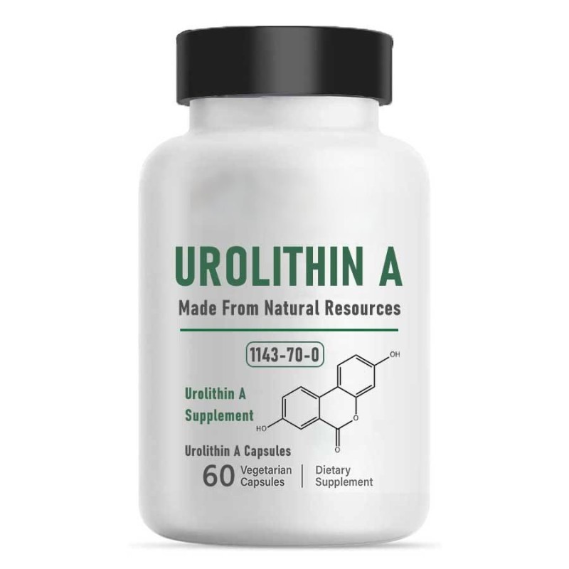 Urolithin A Powder Manufacturer - 99% High Purity Fermentation
