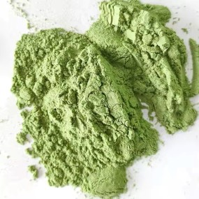 Green Tea Powder Factory - ISO Certified 400 Mesh Drink Supplement