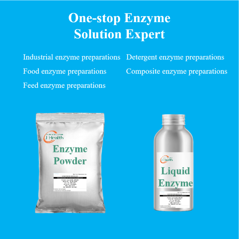Lysozyme Powder Manufacturer - Food Grade Natural Preservative from Egg
