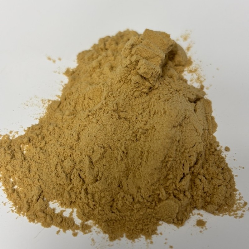 Alternanthera Extract Supplier - Pure Red Sessile Joyweed Powder