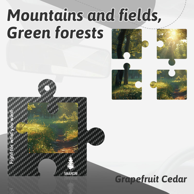 Car Air Freshener Factory - Detailing Effective Cleaner Wash Product