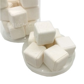 Toilet Cleaner Factory - High Concentration OEM/ODM Scented Tablets