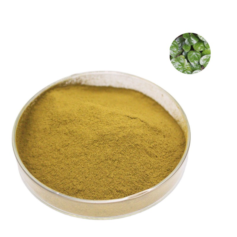 Marine Algae Extract Supplier - Wholesale Blue-Green Algae Spirulina Chlorella