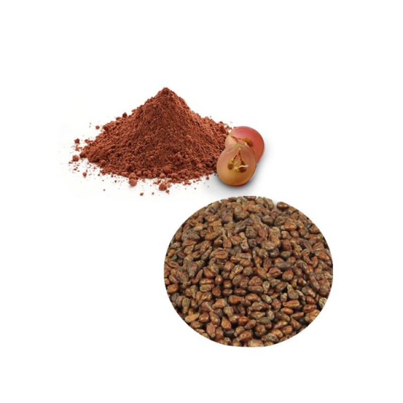Grape Seed Extract Factory - Hot Sale 50%-98% Proanthocyanidins Powder