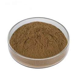 Cordyceps Extract Powder Supplier - Mushroom Extract 50%-60% Free Sample