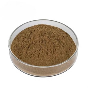 Cordyceps Extract Powder Supplier - Mushroom Extract 50%-60% Free Sample