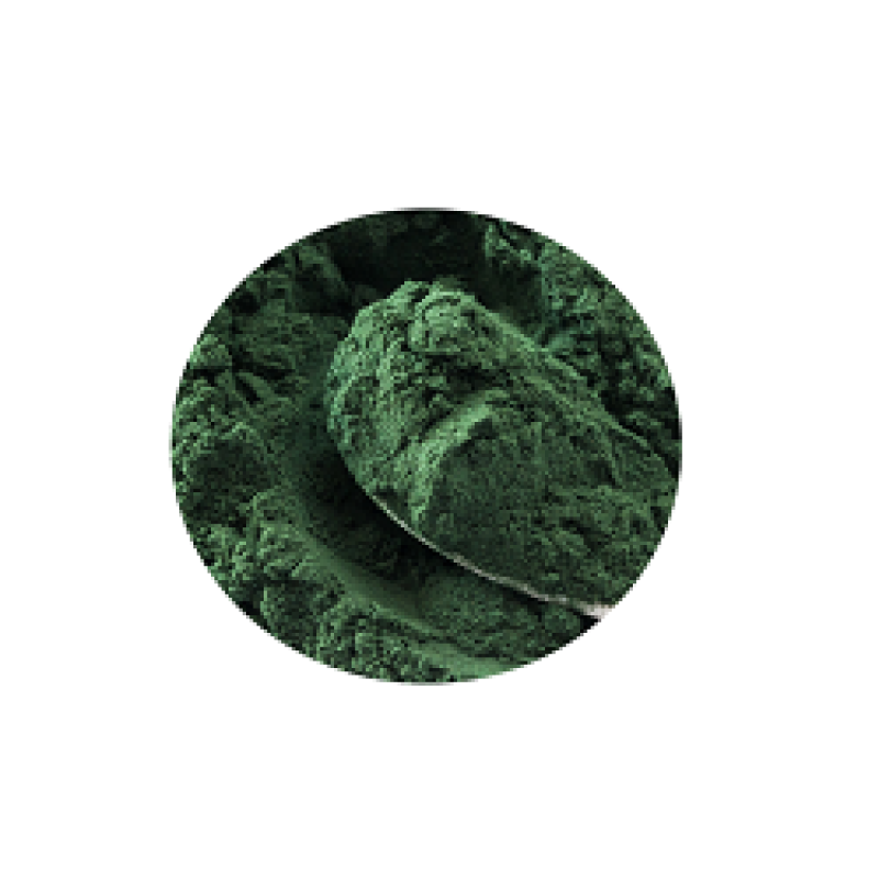 Spirulina Horse Food Factory - Top Quality 100% Pure Green Powder