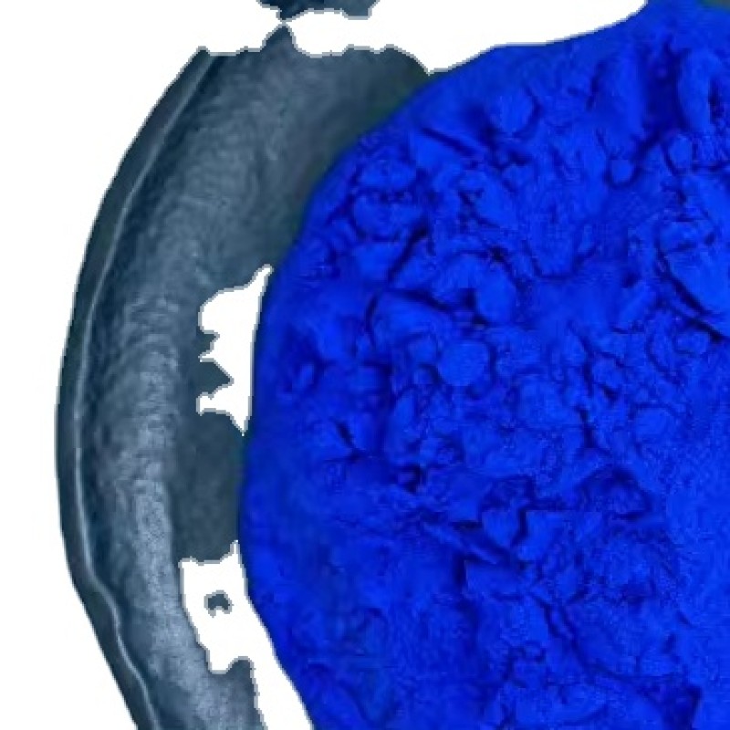 Spirulina Antioxidant Factory - GMP Factory Supply Phycocyanin E16-E25