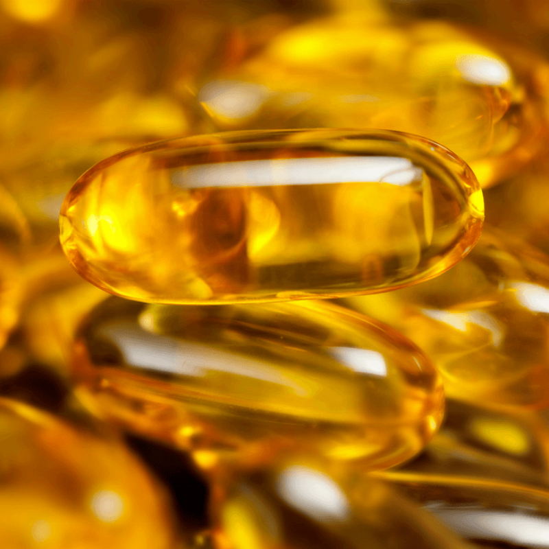 Alfalfa Powder Manufacturer - Lucerne Hay Powder Animal Feed