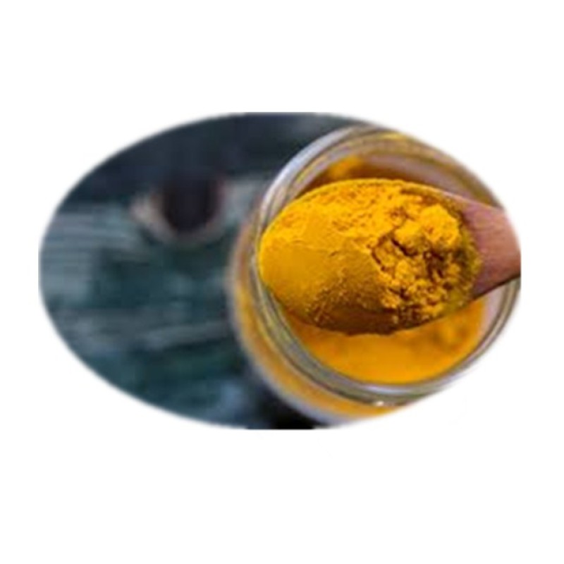 Turmeric Extract Powder Supplier - Hot Sale 5%-50% Curcumin Bulk