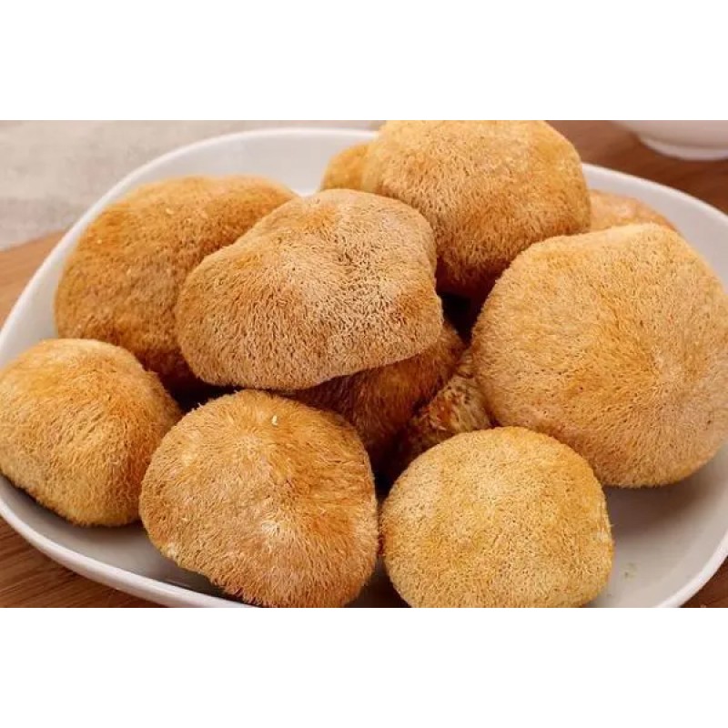 Hericium Erinaceus Extract Manufacturer - Hot Sale 10%-30% Polysaccharide