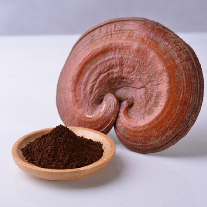 Ganoderma Extract Powder Supplier - Factory Supply 10%-50% Polysaccharides