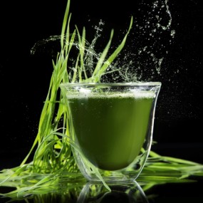 Barley Grass Powder Factory - 100% Water Soluble Organic Juice Powder
