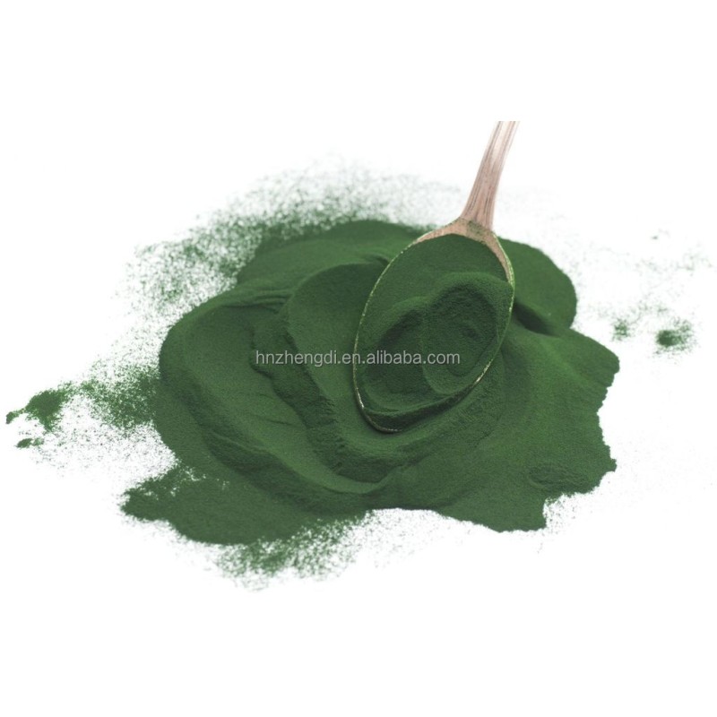Spirulina Powder Manufacturer - High Quality Wholesale Animal Feed Seaweed