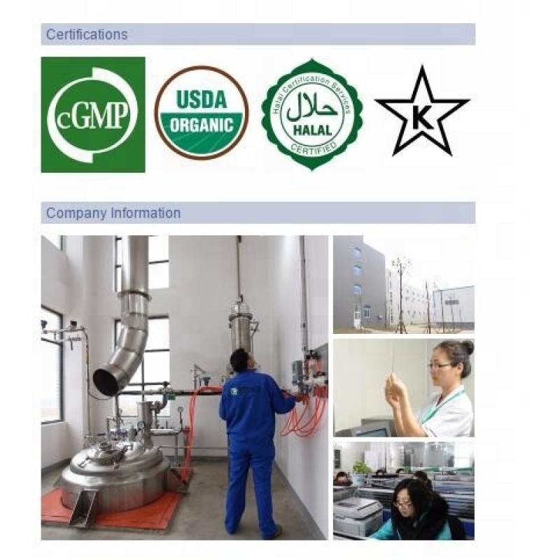 Organic Wheatgrass Powder Supplier - Water Soluble Green Super Food Bulk