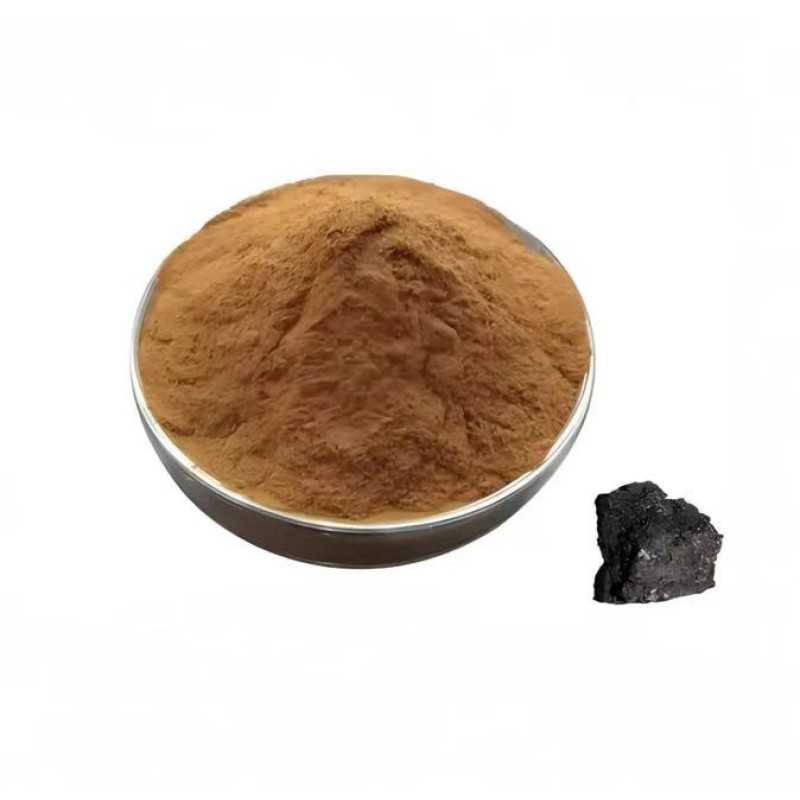 Chaga Extract Powder Factory - Hot Sale Water-soluble Concentrated Powder