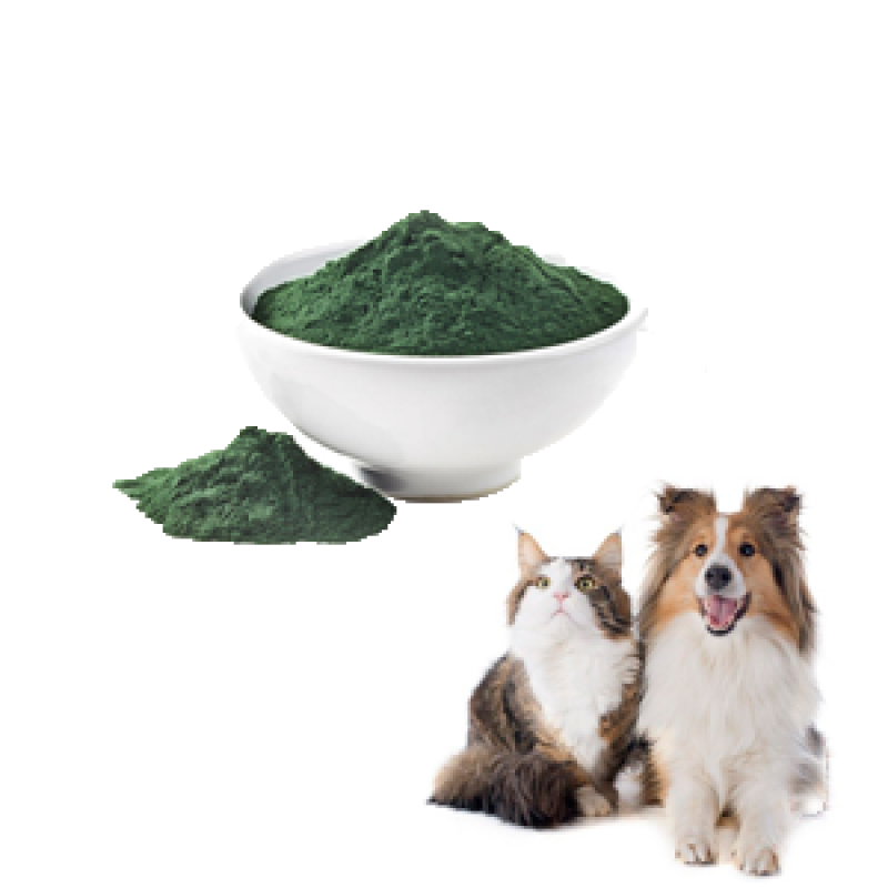 Spirulina Powder Manufacturer - High Quality Wholesale Animal Feed Seaweed