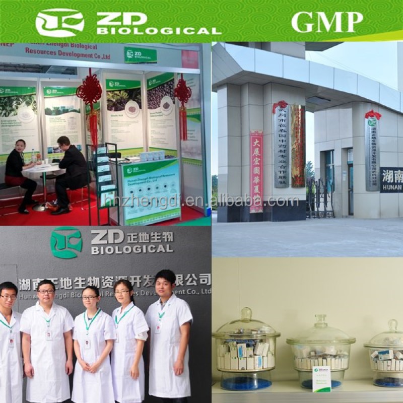 Dried Grape Seeds Manufacturer - Cosmetics Extraction Bulk Pure Raw Material