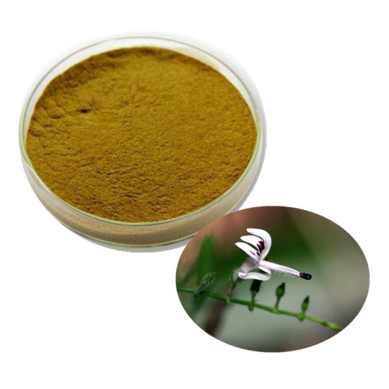 Andrographis Extract Factory - Wholesale Price 10% Andrographolide Powder