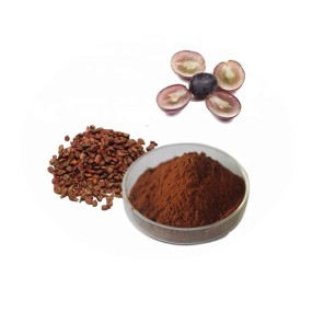 Grape Seed Extract Powder Supplier - Factory Supply 50%-85% Procyanidins