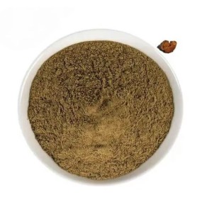 Chaga Extract Powder Factory - Hot Sale Water-soluble Concentrated Powder